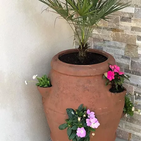 Suartello Vecchio Avec Piscine Privee * Porto-Vecchio (Corsica)