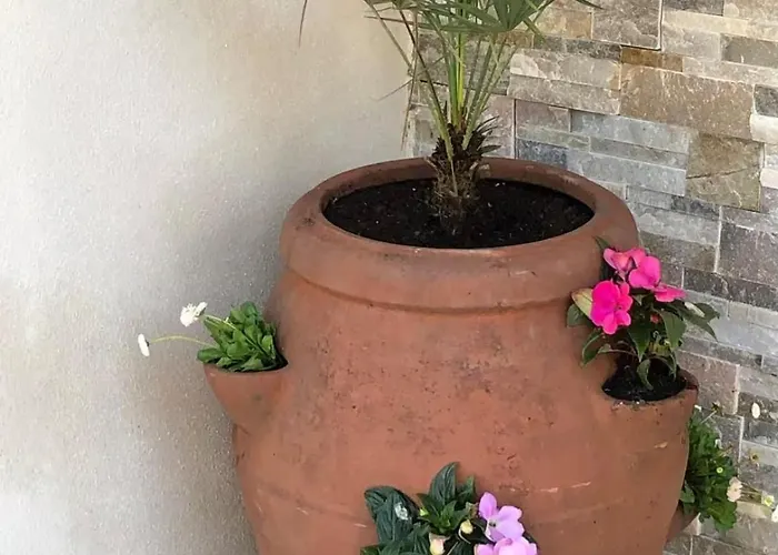 Suartello Vecchio Avec Piscine Privée * Porto Vecchio